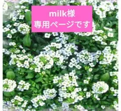 専用ページです