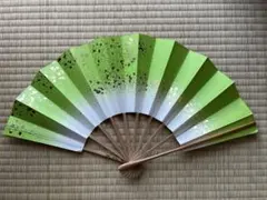 Item thumbnail for item 1ba04483-ea64-4390-95b8-f11f54d4aaff