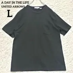 アデイインザライフ メンズ シンプルTシャツ USAコットン100% L