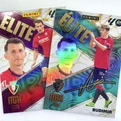 ブディミル PANINI MEGACRACKS 25-26