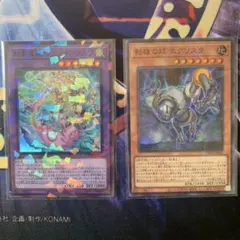 遊戯王　シャドール　デッキパーツ2枚