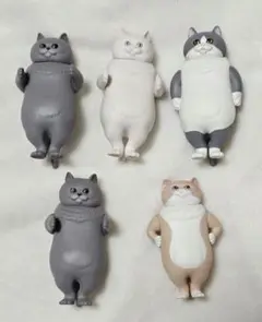 並べ隊　整列キャット　猫