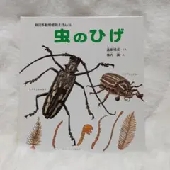 月刊たくさんのふしぎ「ぼくが見たハチ」藤丸篤夫 - メルカリ