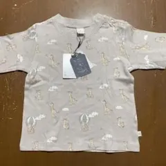 Item thumbnail for item 17d5d59e-6174-4625-813a-e7ab8cee3f43