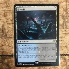 MTG 湿った墓　土地R