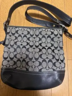 Item thumbnail for item 52ef6349-0124-4f37-9d81-4aa819c60000