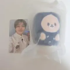 新品未使用✯アイエン✯フォクシニー✯straykids✯スキズ メルカリ - フォクシニーの人気アイテム アイエン 2026年最新】STRAYKIDS アイドル