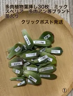 yuino様 リクエスト 2点 まとめ商品