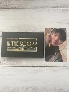 SEVENTEEN IN THE SOOP2 トレカ ウジ