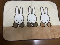 Item thumbnail for item 9d40d948-6a41-4154-b12f-bccf3ec249f4