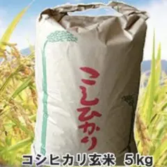 コシヒカリ玄米 5kgのサムネイル