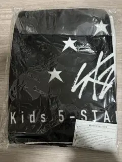 Item thumbnail for item 7aabb785-9fc2-4c1c-8abf-99747ee233bf