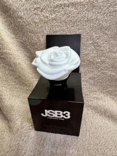 2026年最新】三代目 ペンライト バラの人気アイテム - メルカリ