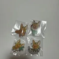 txt ヨンジュン PPULBATU ファンチュン ご当地