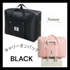 Item thumbnail for item 04ec6e05-bac9-4153-8cec-64d1233fcaeb