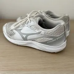 Item thumbnail for item 0f97daab-ad6b-4327-bfb5-c7fd257457b8