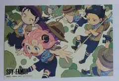 購入特典　イラストカード　スパイファミリー　単行本12巻購入ノベルティ　非売品