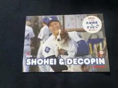 Item thumbnail for item 46a3342d-ef99-4aac-bde5-3c8d5c04f5f6