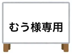 むう様 リクエスト 2点 まとめ商品