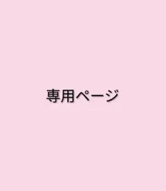 専用ページ