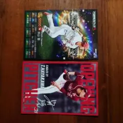 カルビープロ野球チップス 2025 楽天イーグルス選手２枚