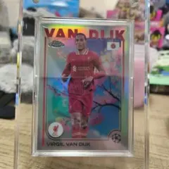 2025年最新】ファンダイク カードの人気アイテム - メルカリ