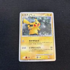 希少 ポケモンカードe 021/Pピカチュウ マクドナルドプロモ 地図にない