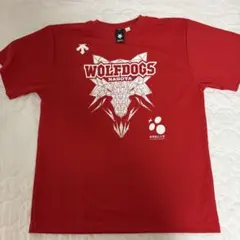 DESCENTE WOLFDOGS NAGOYA Tシャツ XOサイズ 6 - メルカリ
