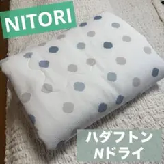 NITORI ハダフトン Nドライ 16 ドット柄のサムネイル