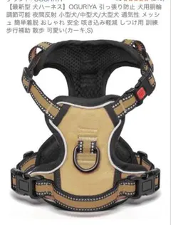 Item thumbnail for item d296529f-5656-41e5-85d4-60a8490bab09