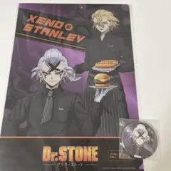 Dr.STONE スタンリー 缶バッジ ローソンストア100 - メルカリ