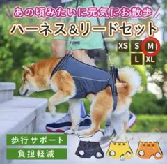 犬用 歩行サポートハーネス ＆ リードセット Mサイズ　未使用のサムネイル