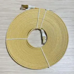 CAT8 LANケーブル 8m 40Gbps 2000MHz ゴールド8m