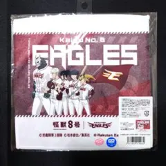 Item thumbnail for item 726fbdad-9308-43c9-9c2a-48e08a158bcd