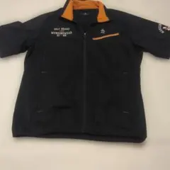 Item thumbnail for item 0d8ea2cb-6d01-4a8f-8a72-cff33e683359