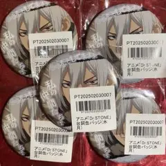 Dr.STONE ani-art 缶バッジ 暁 氷月 5個セット D グッズ-バッチ】Dr.STONE 氷月 Ani-Art BIG缶バッジ | アニメイト