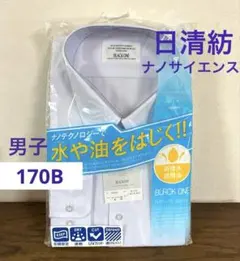 Item thumbnail for item a2ab20ca-6073-41c1-bd82-edc59182a846