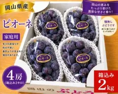 かっじょ様専用 クール便 岡山ピオーネ きれいな家庭用2キロ×2箱