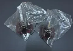 モンスターヘッドマグネット 「一番くじ ゴジラ-1.0」 H賞　デストロイア