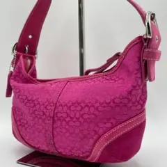 良品 COACH ワンショルダーバッグ キャンバス シグネチャー スエード