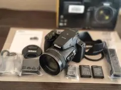 2026年最新】ニコン coolpix p900 中古の人気アイテム - メルカリ