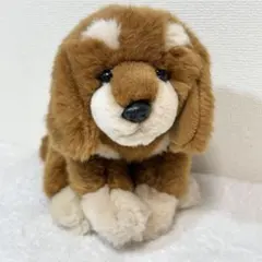 regalo リアルドッグぬいぐるみ　ダックスフンド