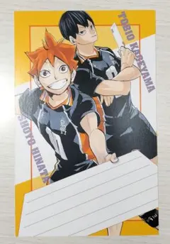 ハイキュー はがき 色紙 紙 ポスター ポストカード 日向翔陽 影山飛雄