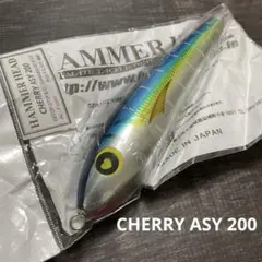 ローカルスタンダード ダイブベイト 210 ショップオリカラ - メルカリ