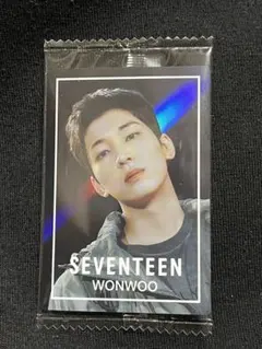 SEVENTEEN ウエハース　ウォヌ　トレカシール