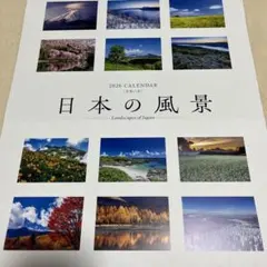 Item thumbnail for item 19159800-a2fd-4258-bfef-a299b54c436e