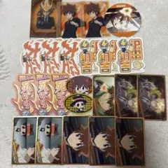 非売品 沢田綱吉 ステッカー　カード 家庭教師ヒットマンREBORN!