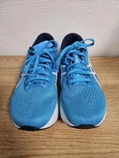 ピー様専用/MAGIC SPEED 4 25.0cm マジックスピード4ワイド