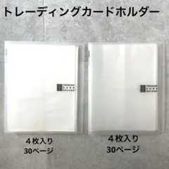 Item thumbnail for item b5b21e10-8e9e-4fa2-8e28-ae1105bed34a