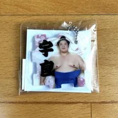 大相撲 宇良 つながるパズルキーホルダー